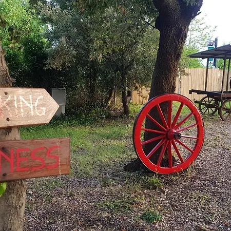 Feriegård Punta Dei Lecci