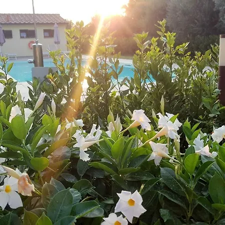 Punta Dei Lecci Riparbella